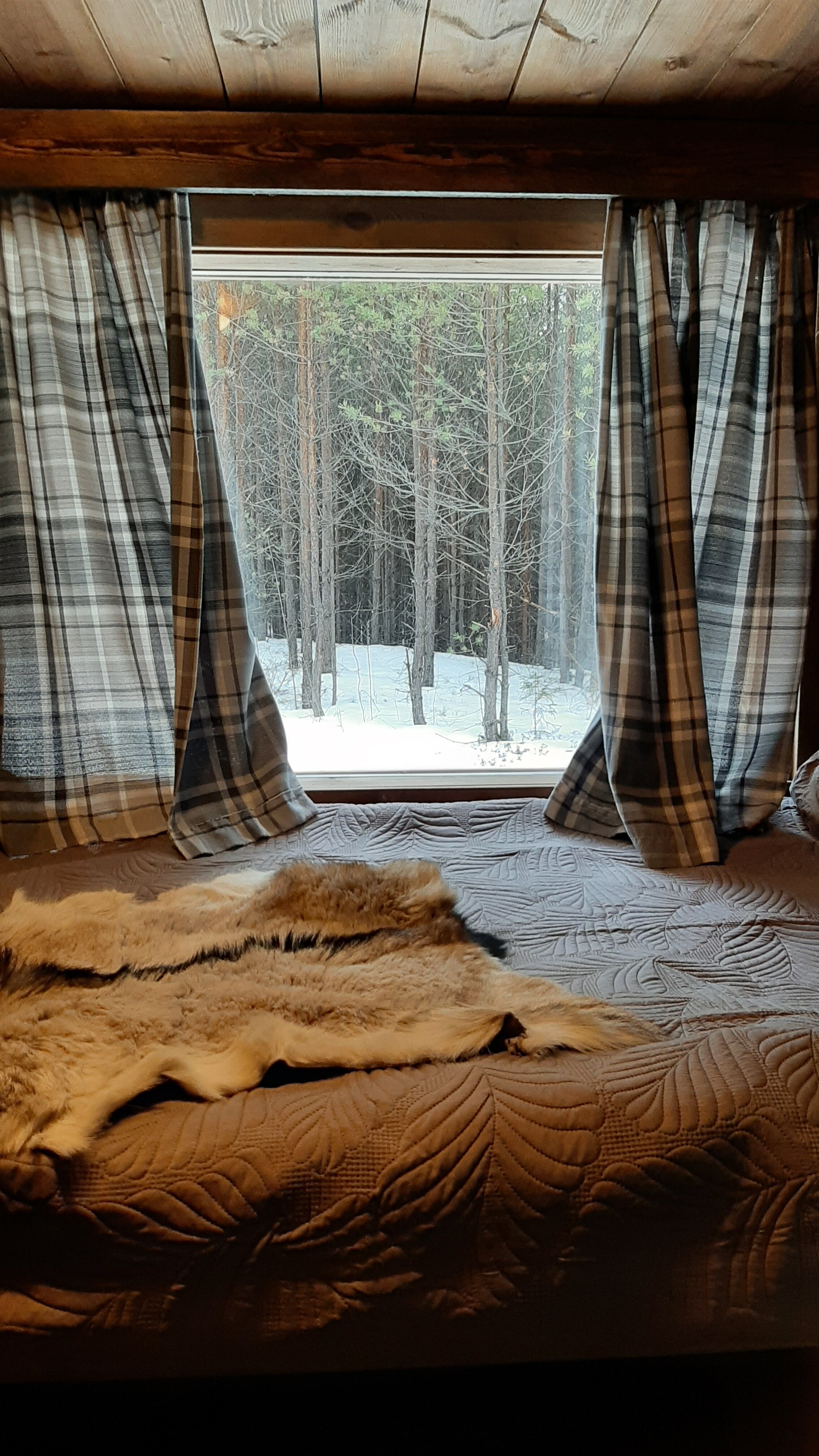 Фото Таежная Рось