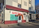 Barhat (Sovetskaya ulitsa, 30), floristeria