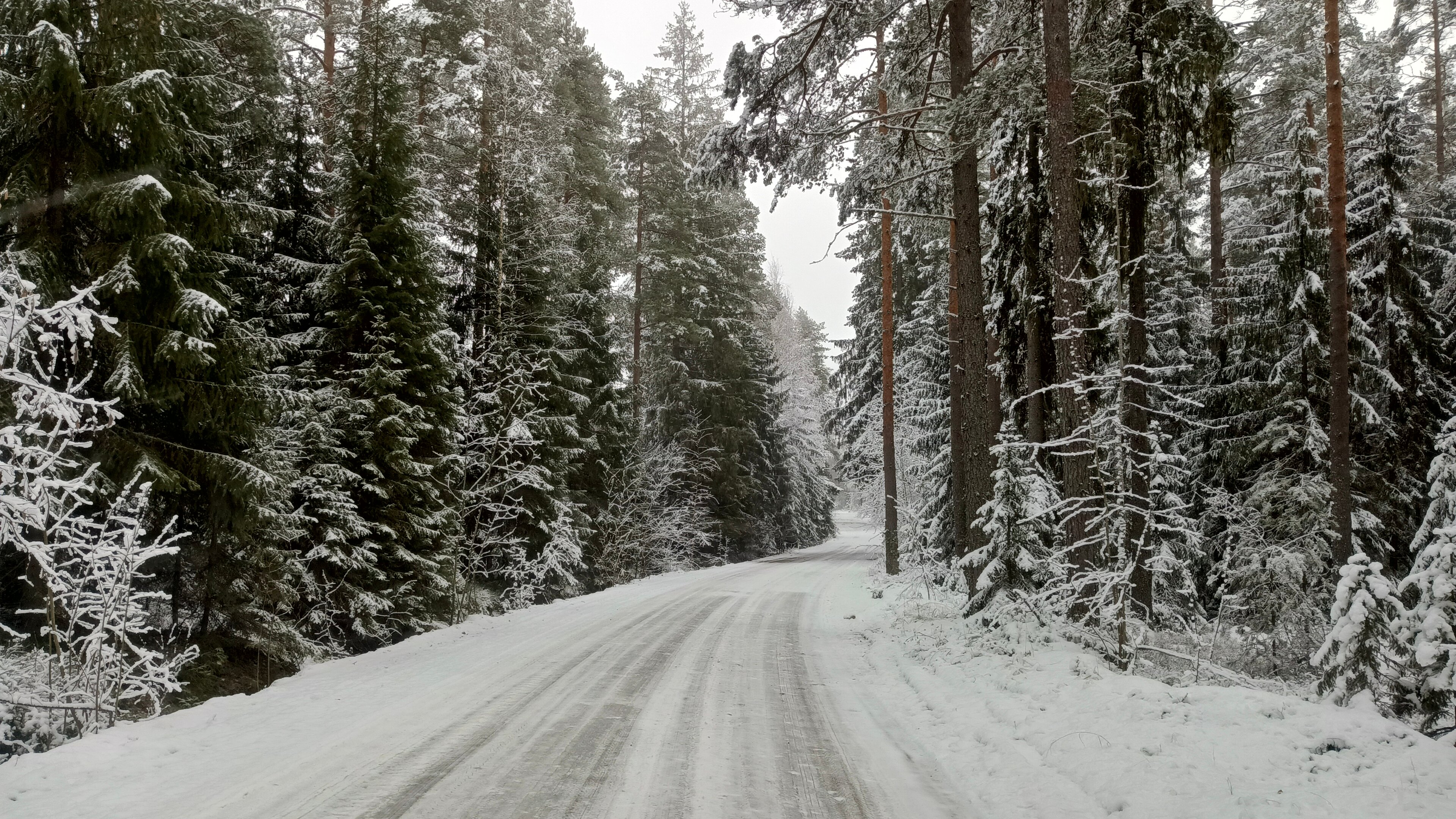Фото Виллы White Resort Поляны Карелия