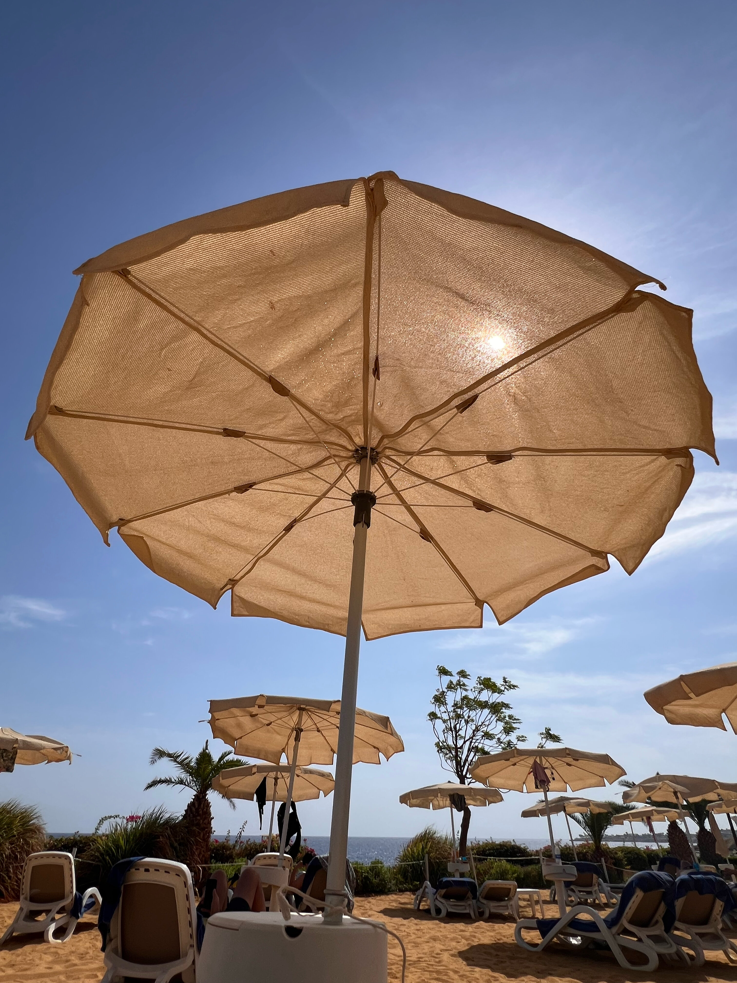 Фото Stella Di Mare Beach Hotel & Spa