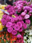 Buketik radosti (ulitsa Tamoykina, 6), flower shop