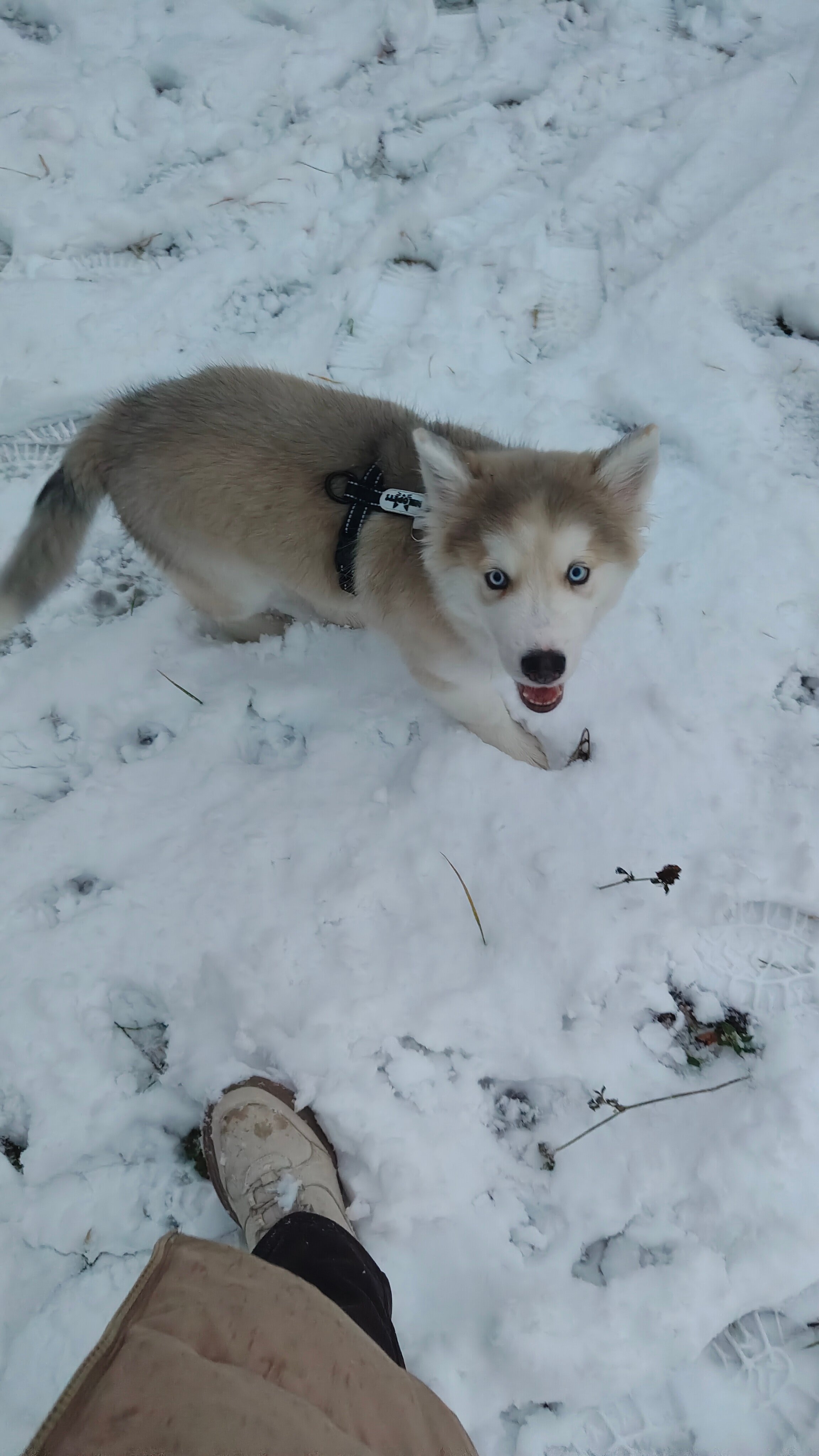 Фото Удачный