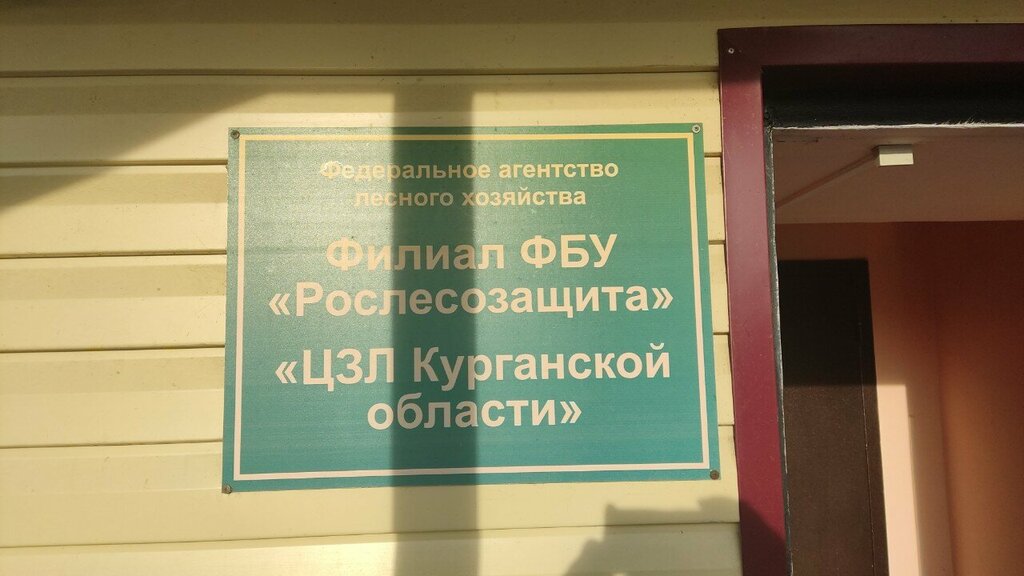 Forest management, reforestation Filial FBU Roslesozashchita - Tszl Kurganskoy oblasti, Kurgan, photo