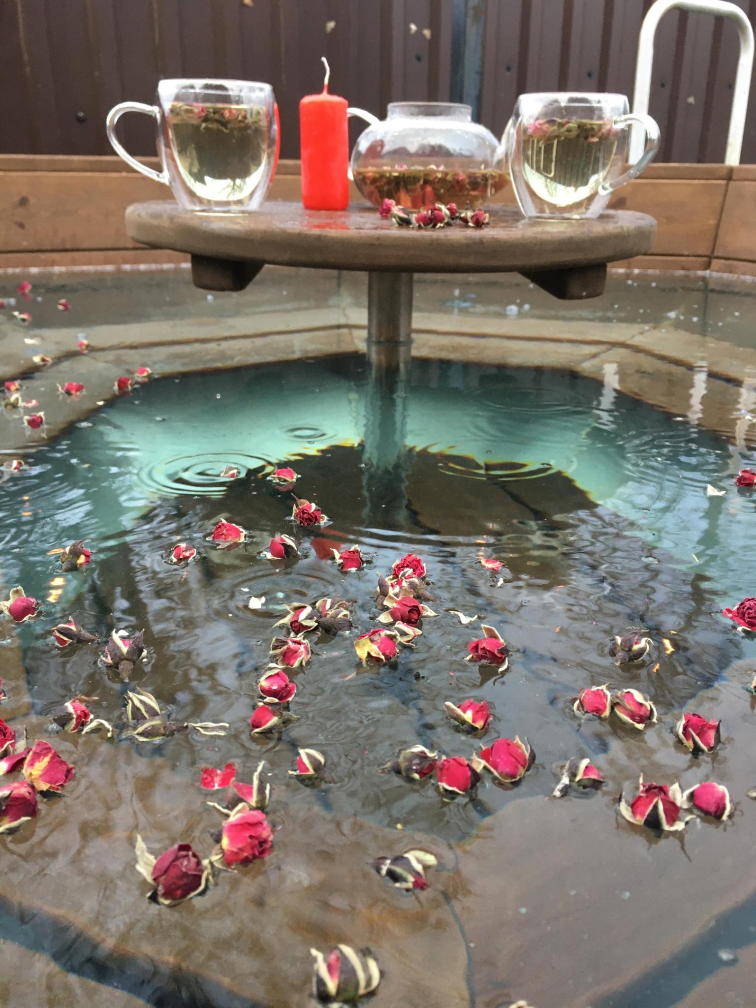 Фото Сосновая роща