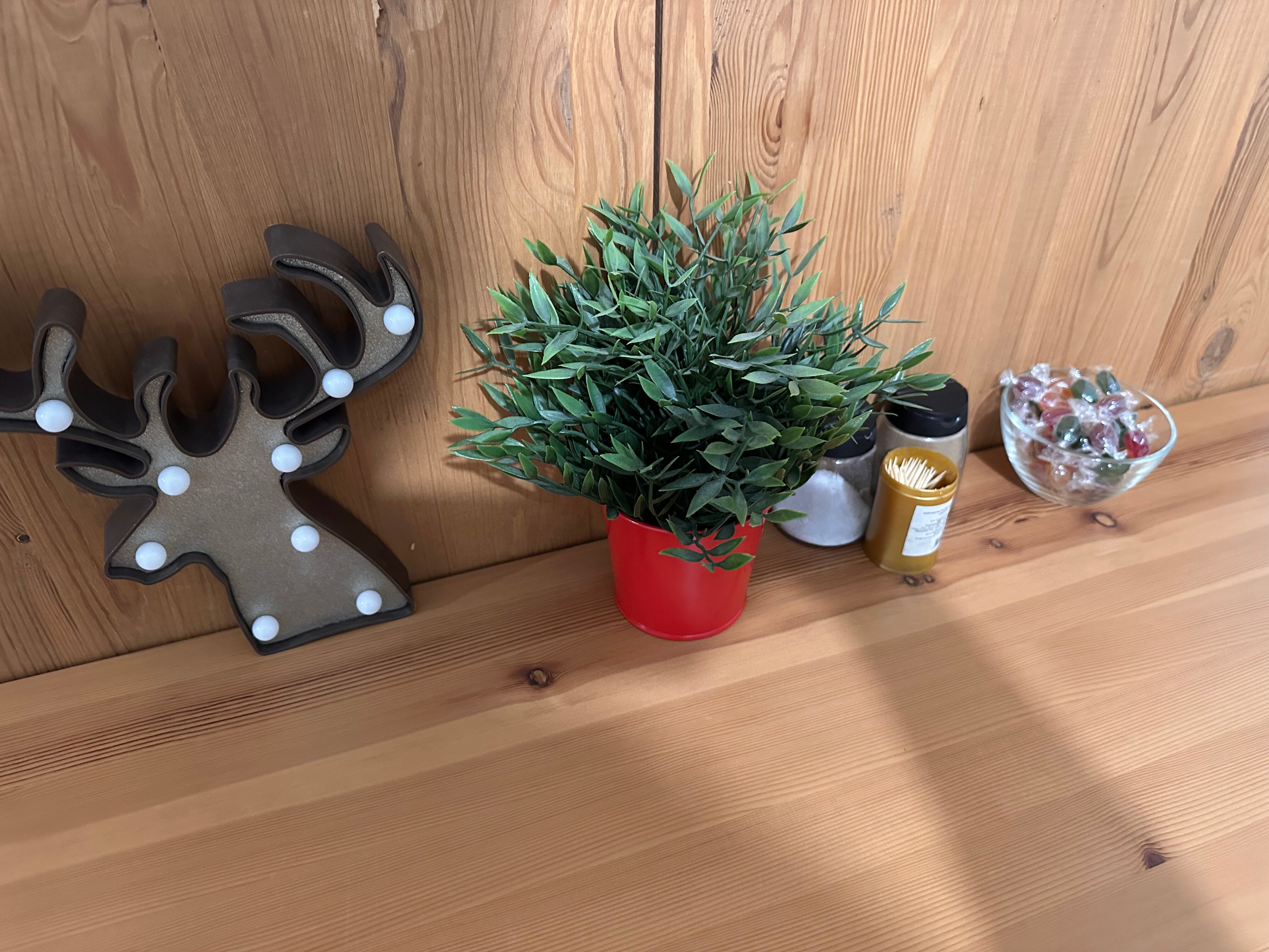 Фото Scandic Romantic Apartment