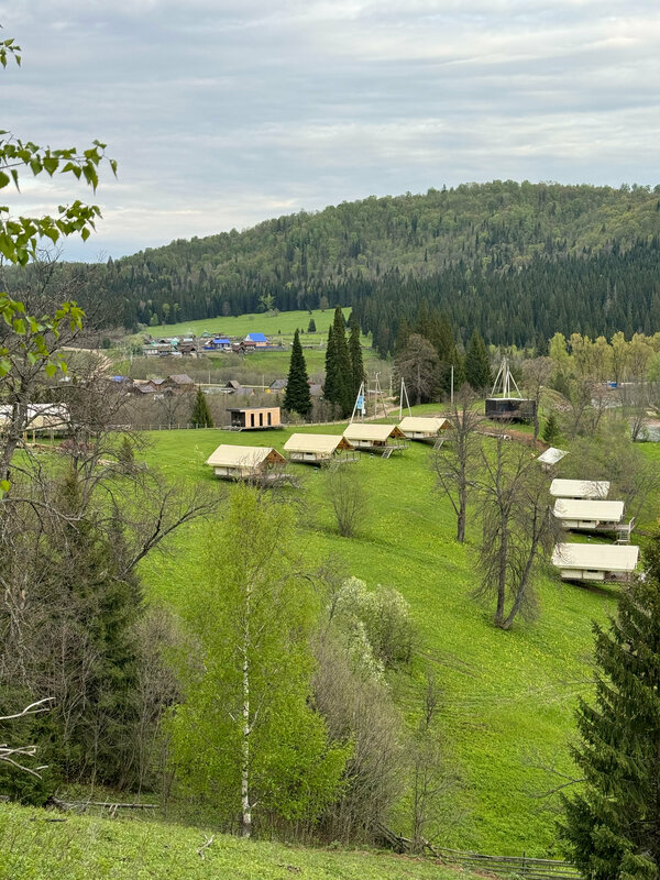 Липа Да Ива — фото 15