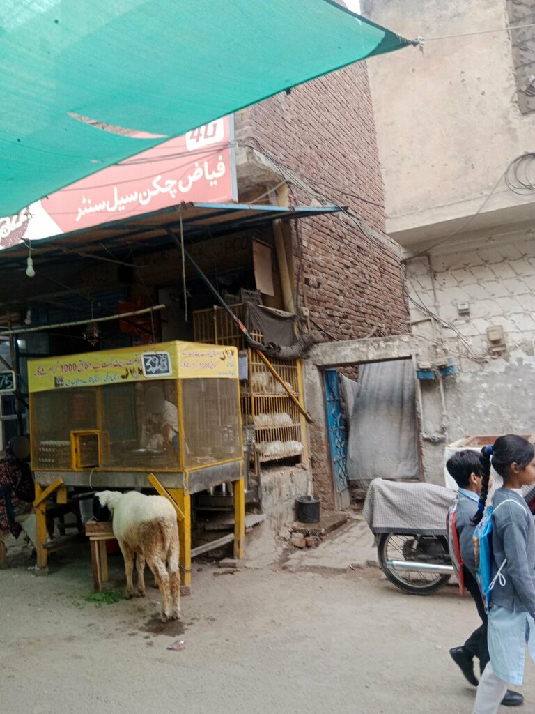 Butcher shop Fayyaz Chicken Sale Center, Lahore, photo