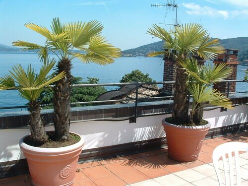 Гостиница Residence Holiday в Бавене
