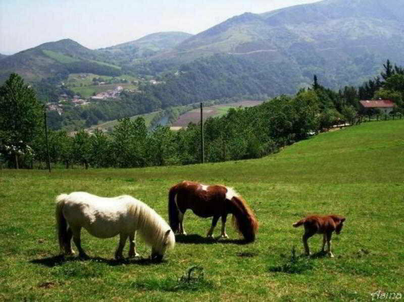Hotel Hotel Elizalde, Basque Country, photo