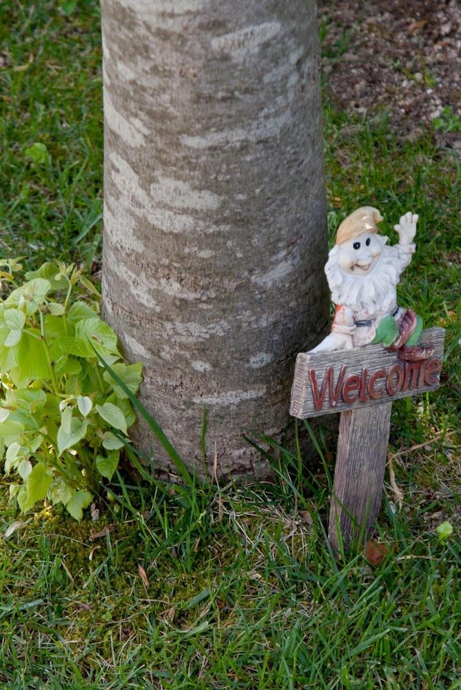 Фото Il Roseto B&b