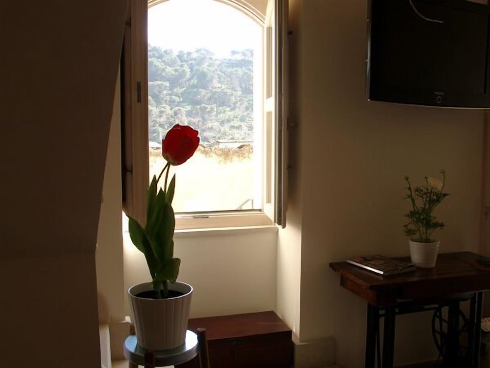 Фото Chicchi di Melograno