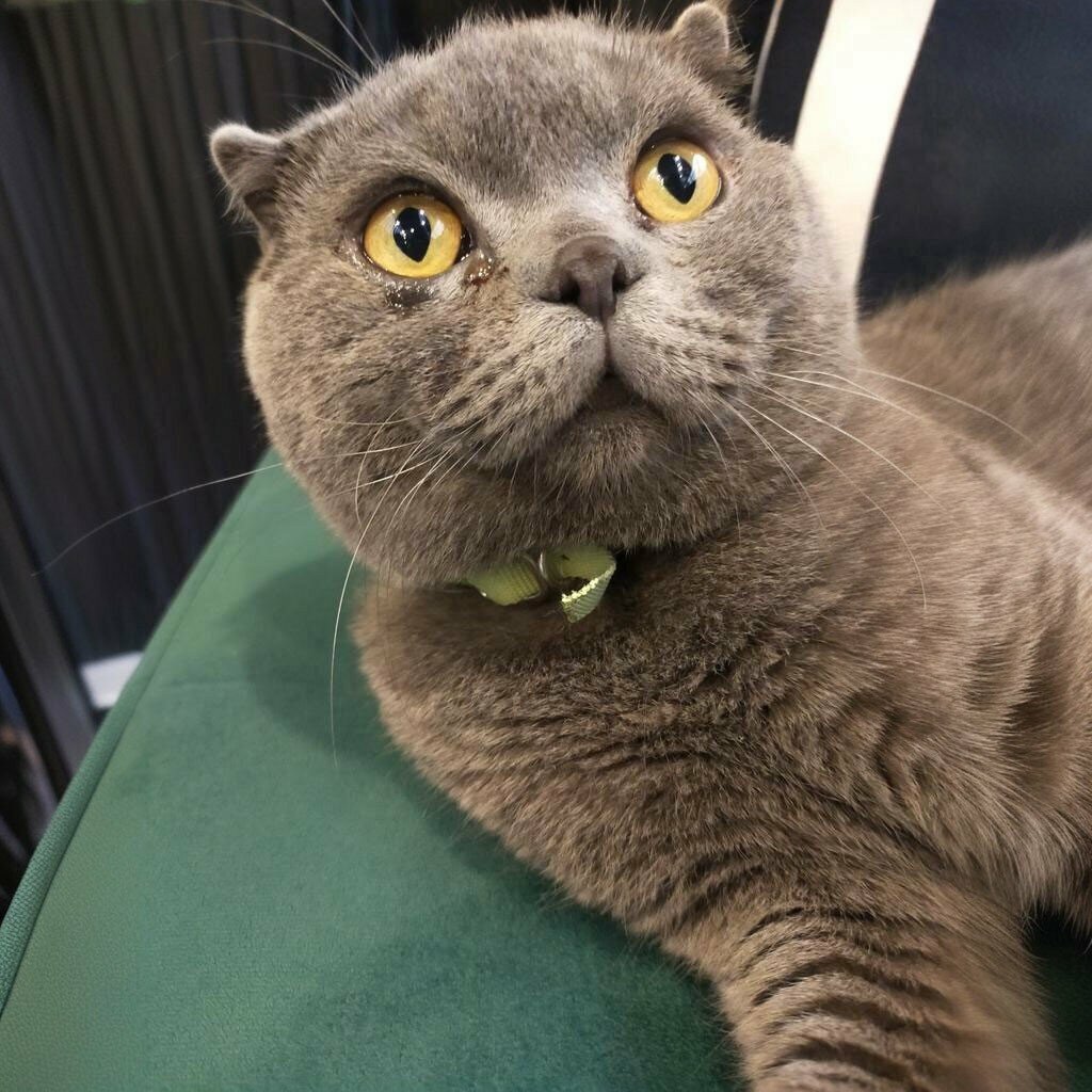 Cafe Uzun Hikaye Cafe, Kayseri, photo