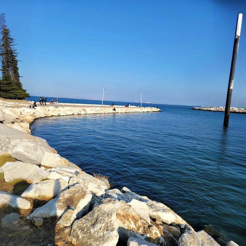 Park Urban forest, Yalova, photo