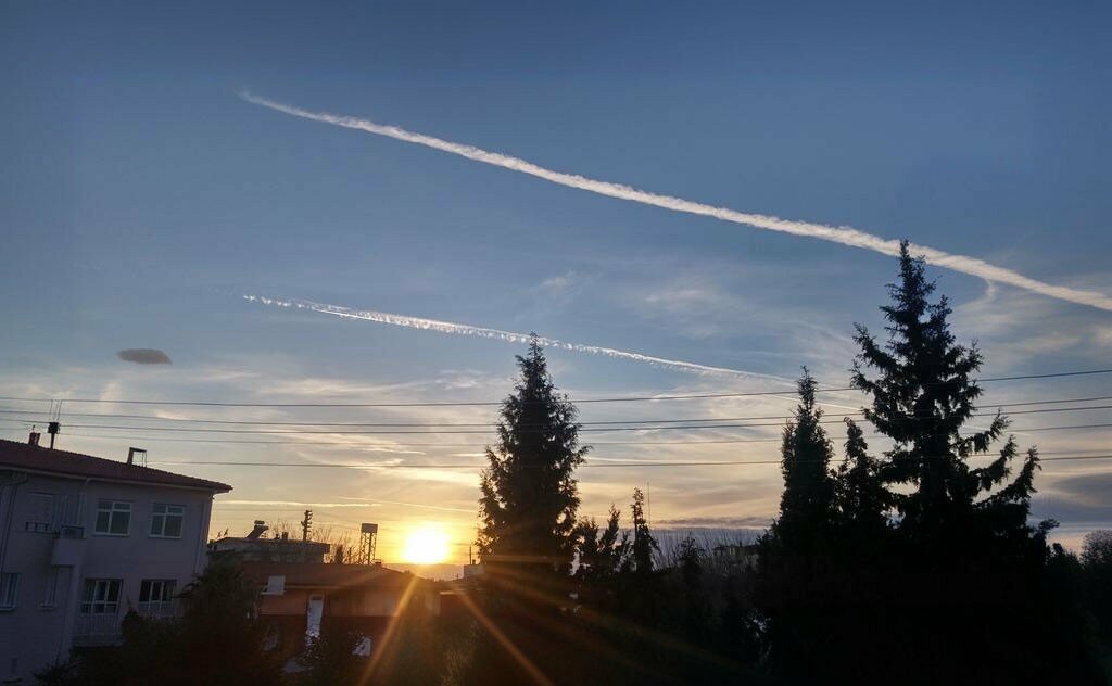 Park Sevinc Honey Park, Didim, photo