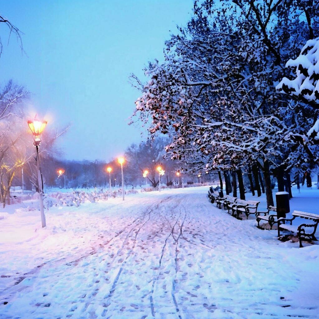 Park Halit Molla Park, Kaynarca, photo