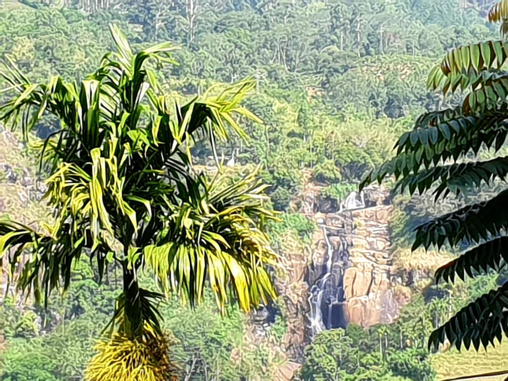 Фото Adannz view