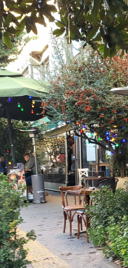 Restaurant Kaktus Jihangir Restaurant, Istanbul, photo