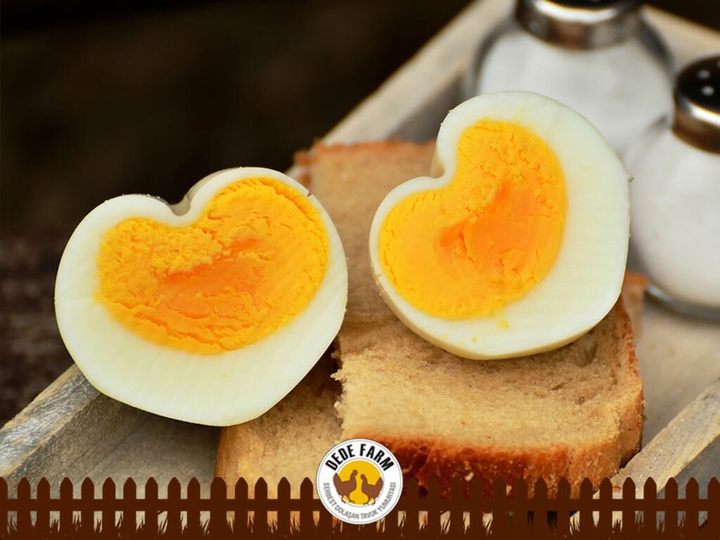 Agricultural enterprise Dede Farm, Izmir, photo