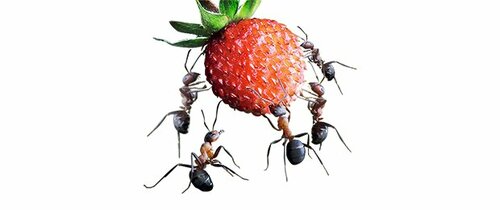 Doğa Kuyumculuk Fotoğraf 2