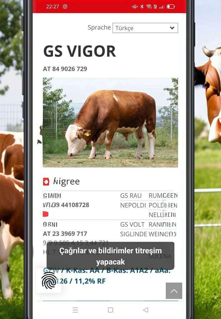 Veterinary clinic Özel Söğütlü Veteriner Kliniği, Sogutlu, photo