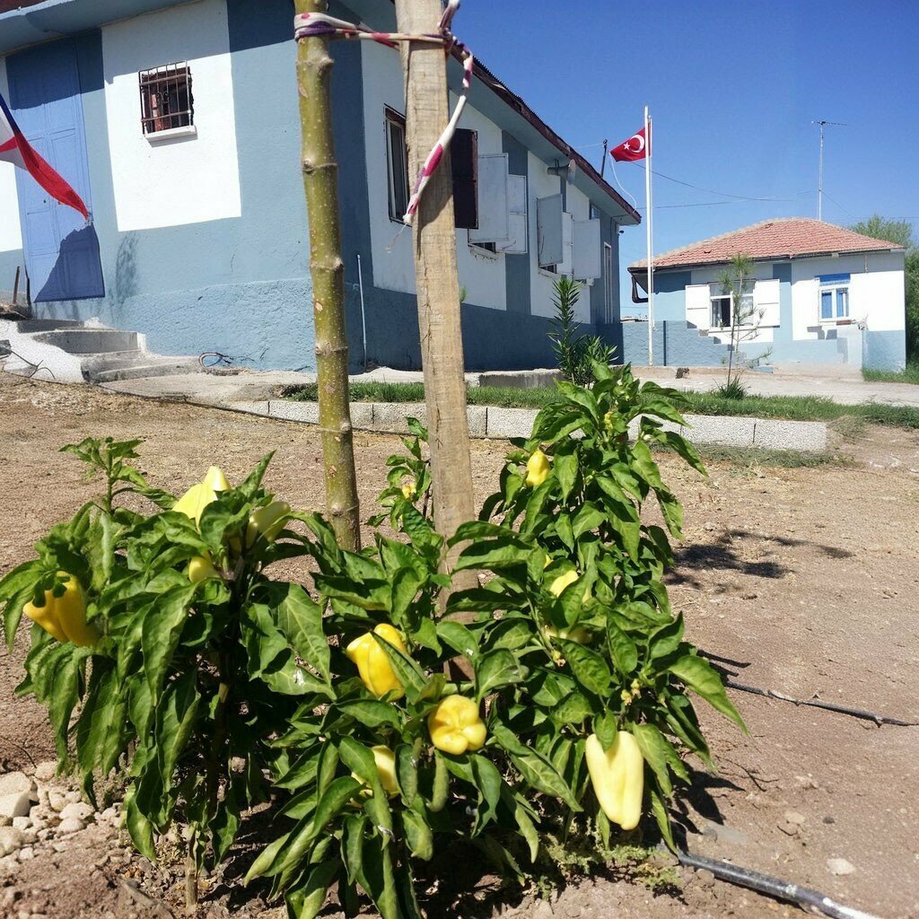 Primary school Selman Soguktepe Primary School, Ergani, photo