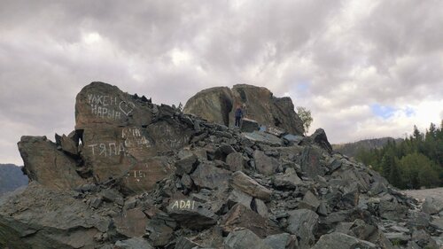 Сексуалдық сиыр қыз