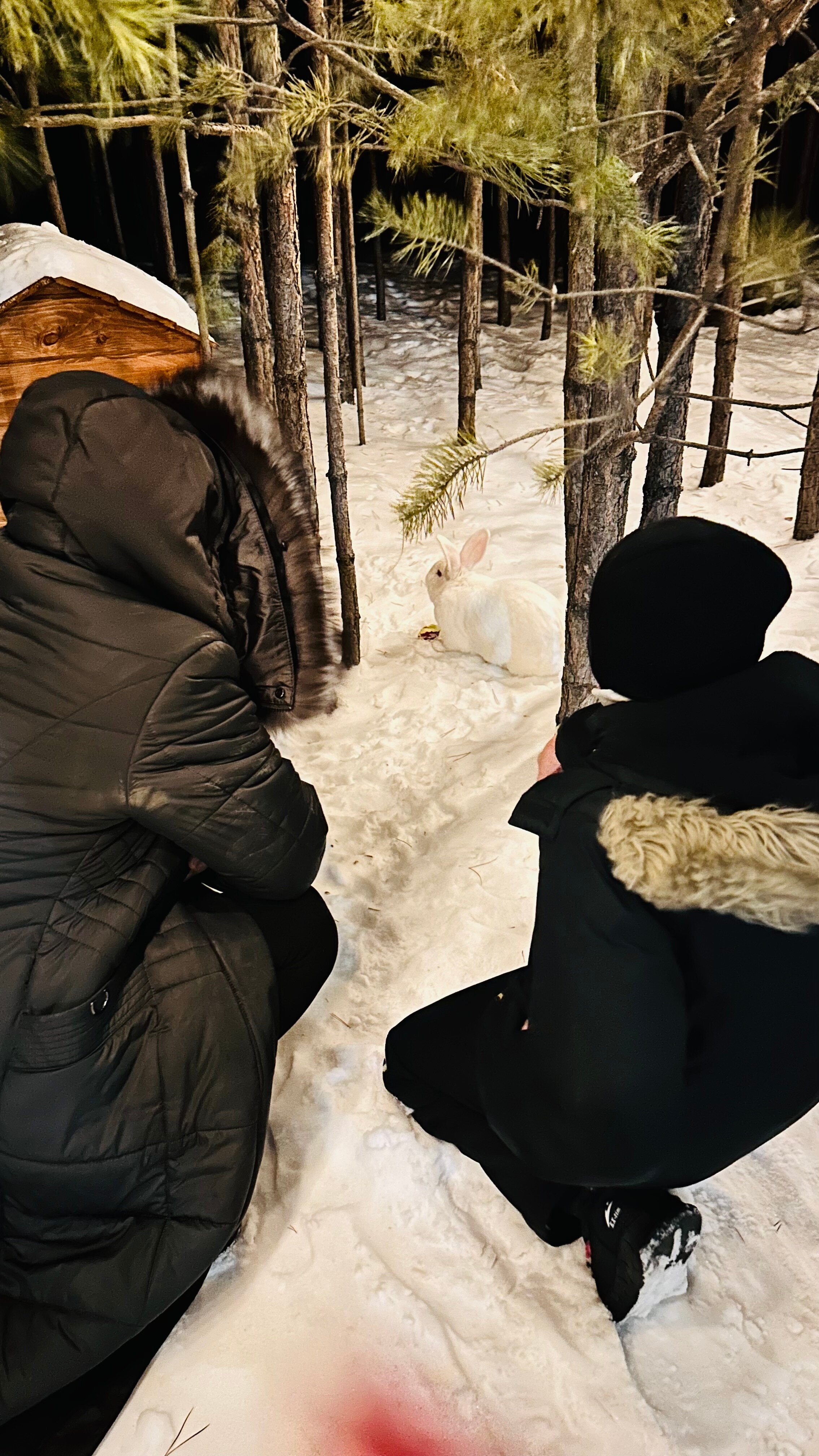 Фото Лу Хаус