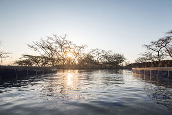 Фото The Hilton Bush Lodge