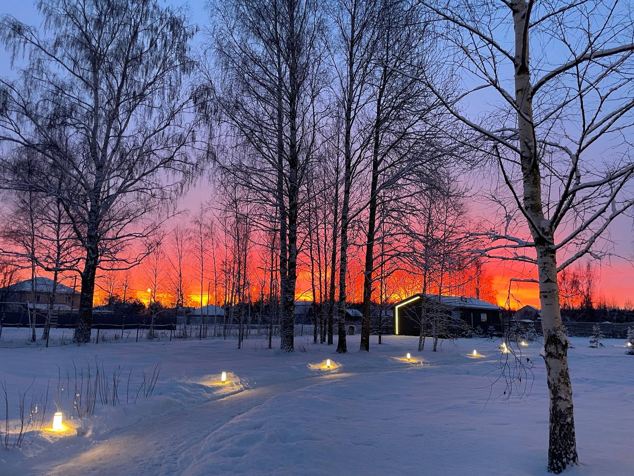 Фото Восемь Обезьян