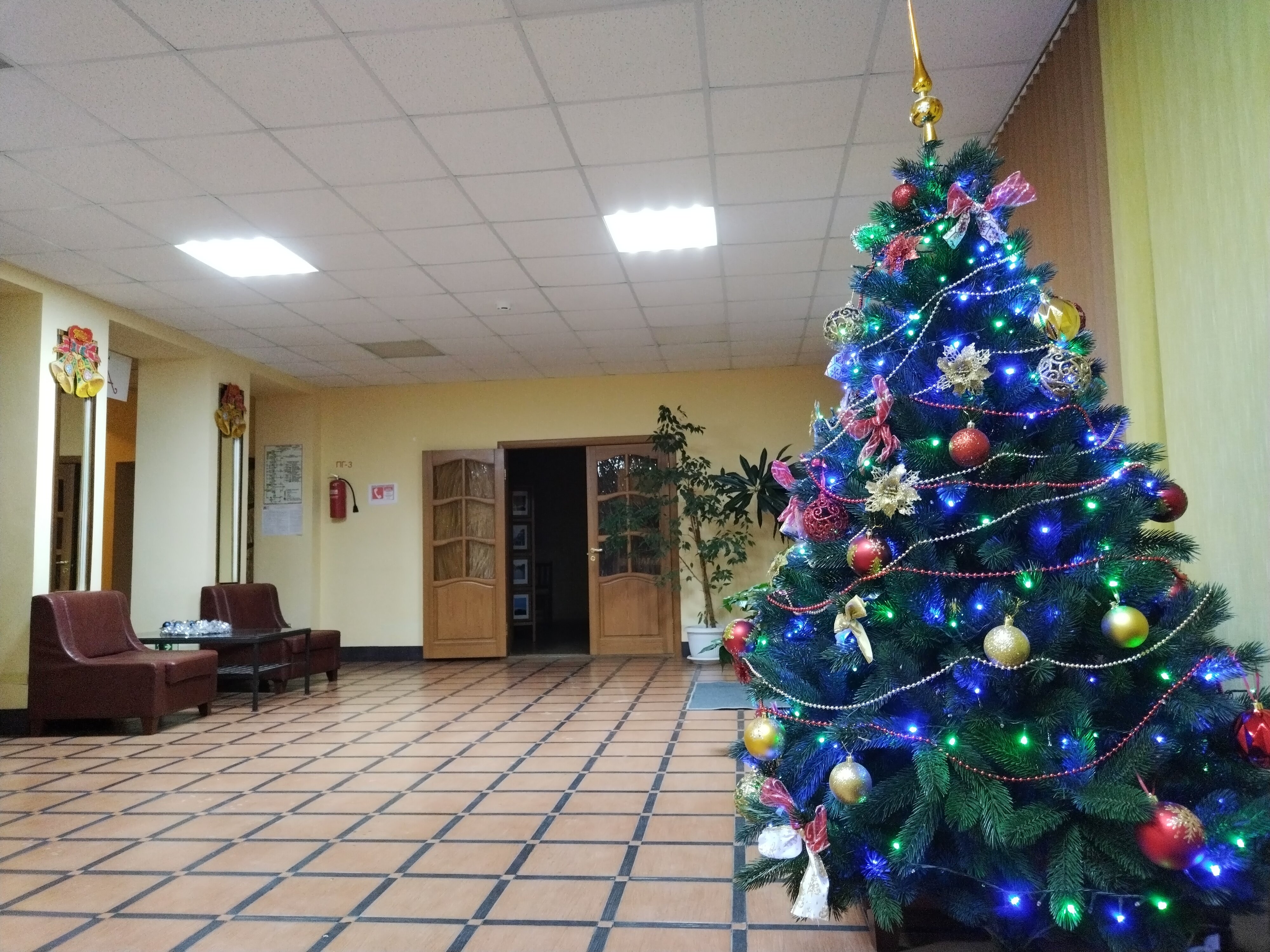 Фото Альпина