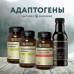 Nature’s Sunshine Products (Oktyabrya Avenue, 56), phytoproducts, dietary supplements