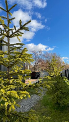 Black House  фото 6