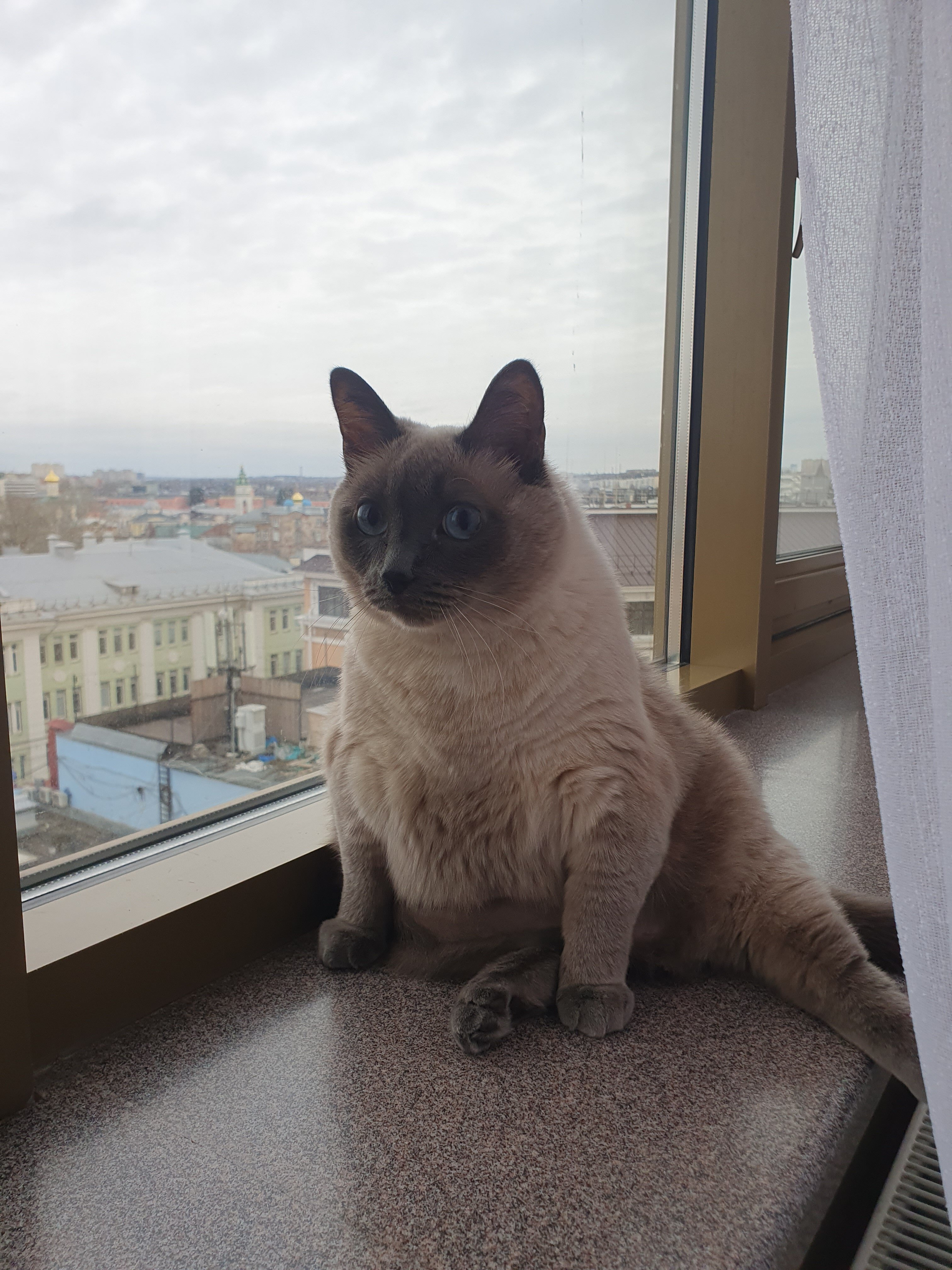 Фото Sk Royal Hotel Tula