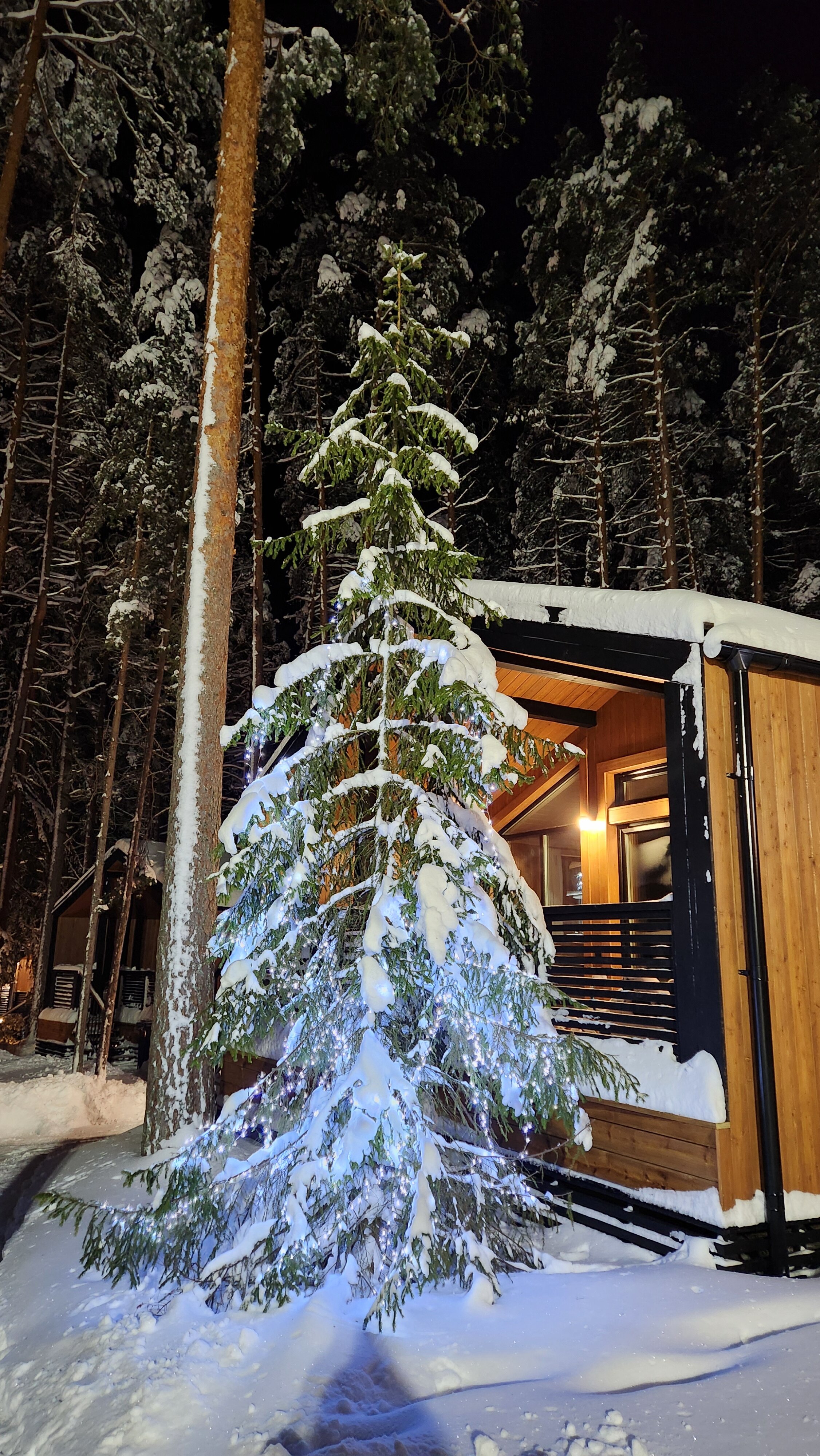 Фото Land Breeze