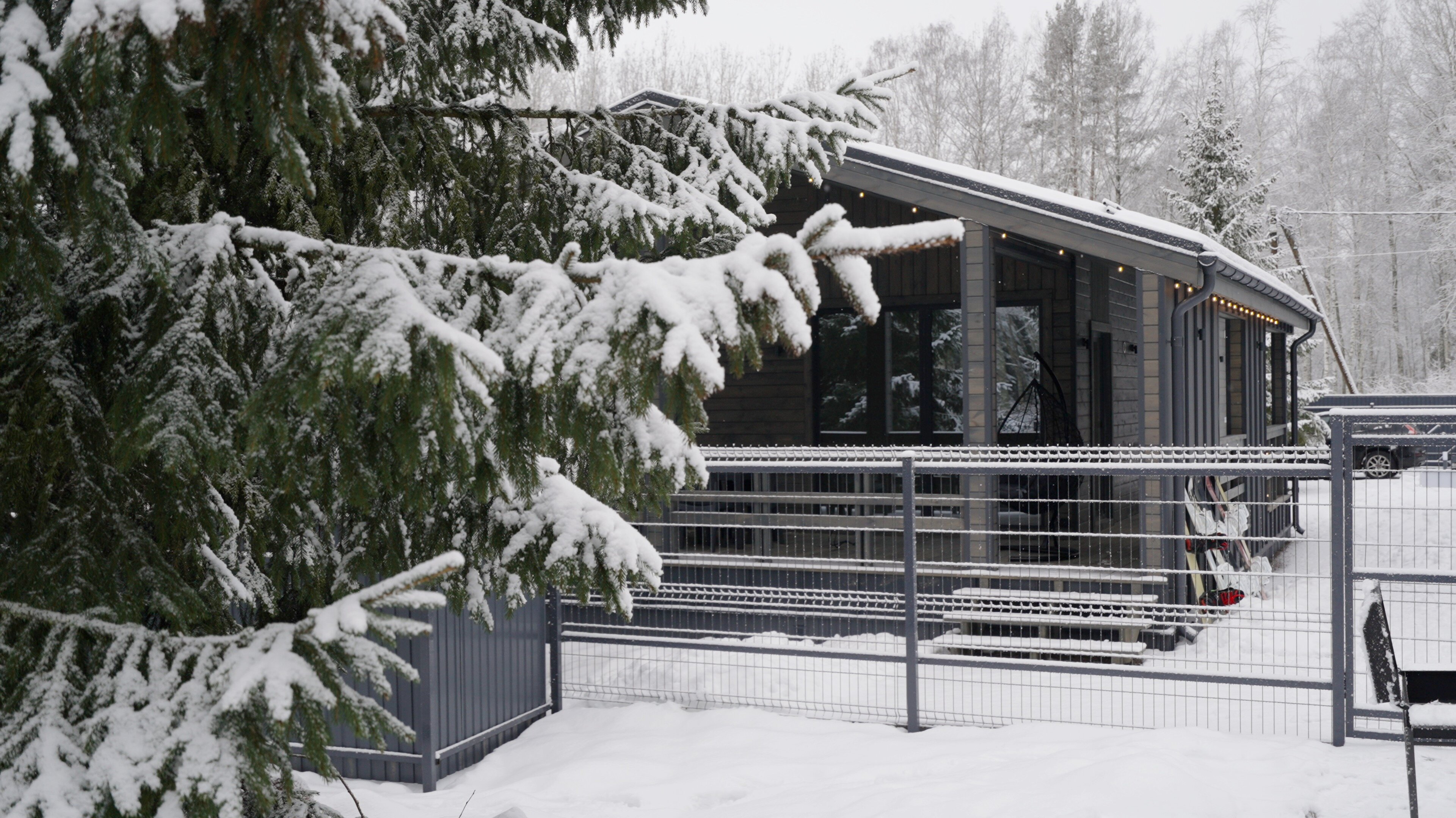 Фото The Datcha!