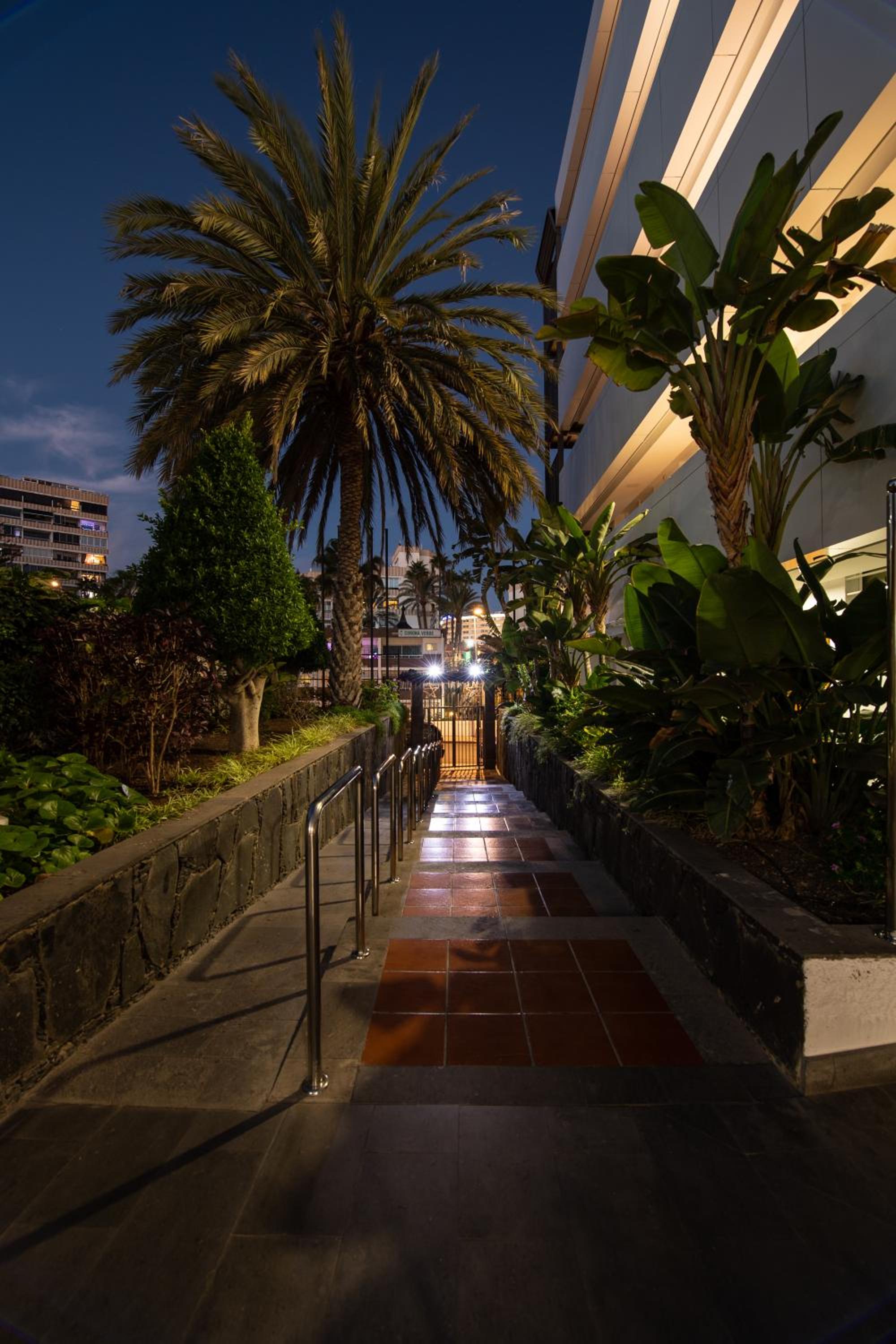 Фото Apartamentos Dorotea