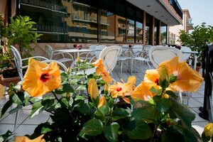 Гостиница Hotel Scarlet