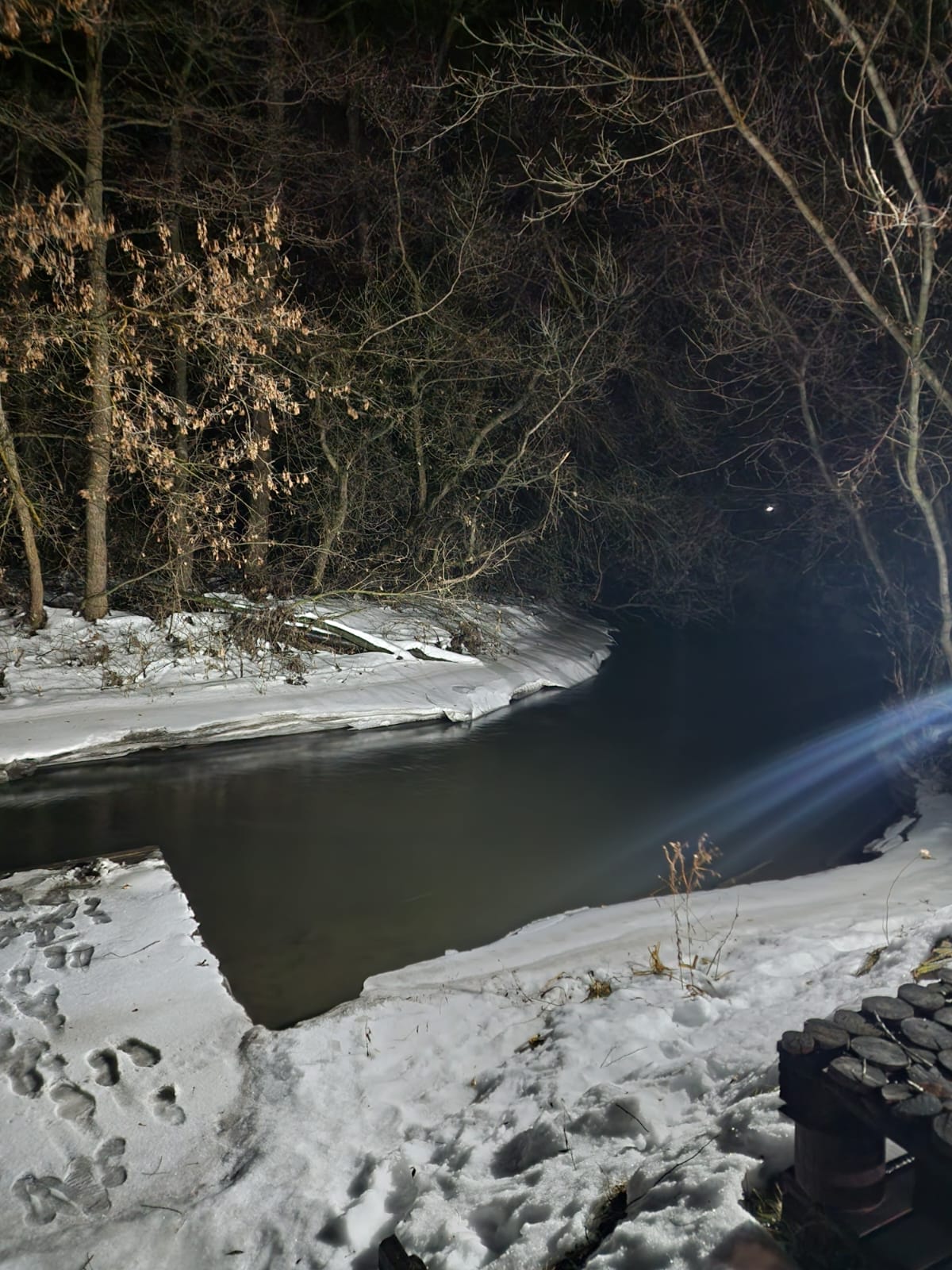 Фото Фазенда