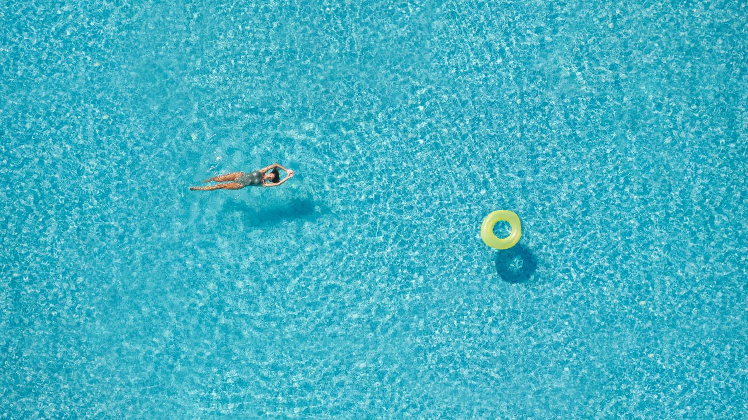 Фото Little Bird