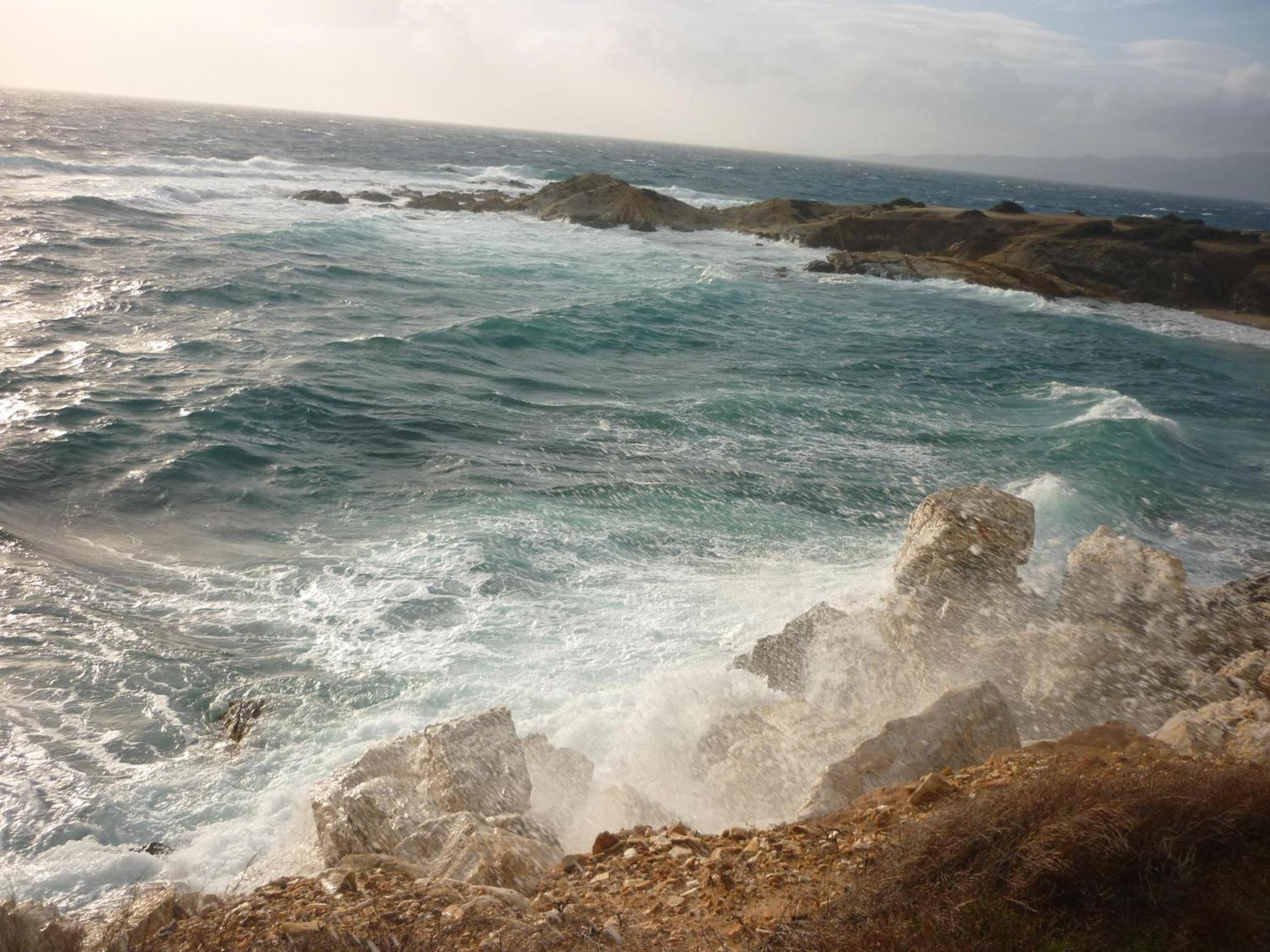 Фото Joanna's Apartments