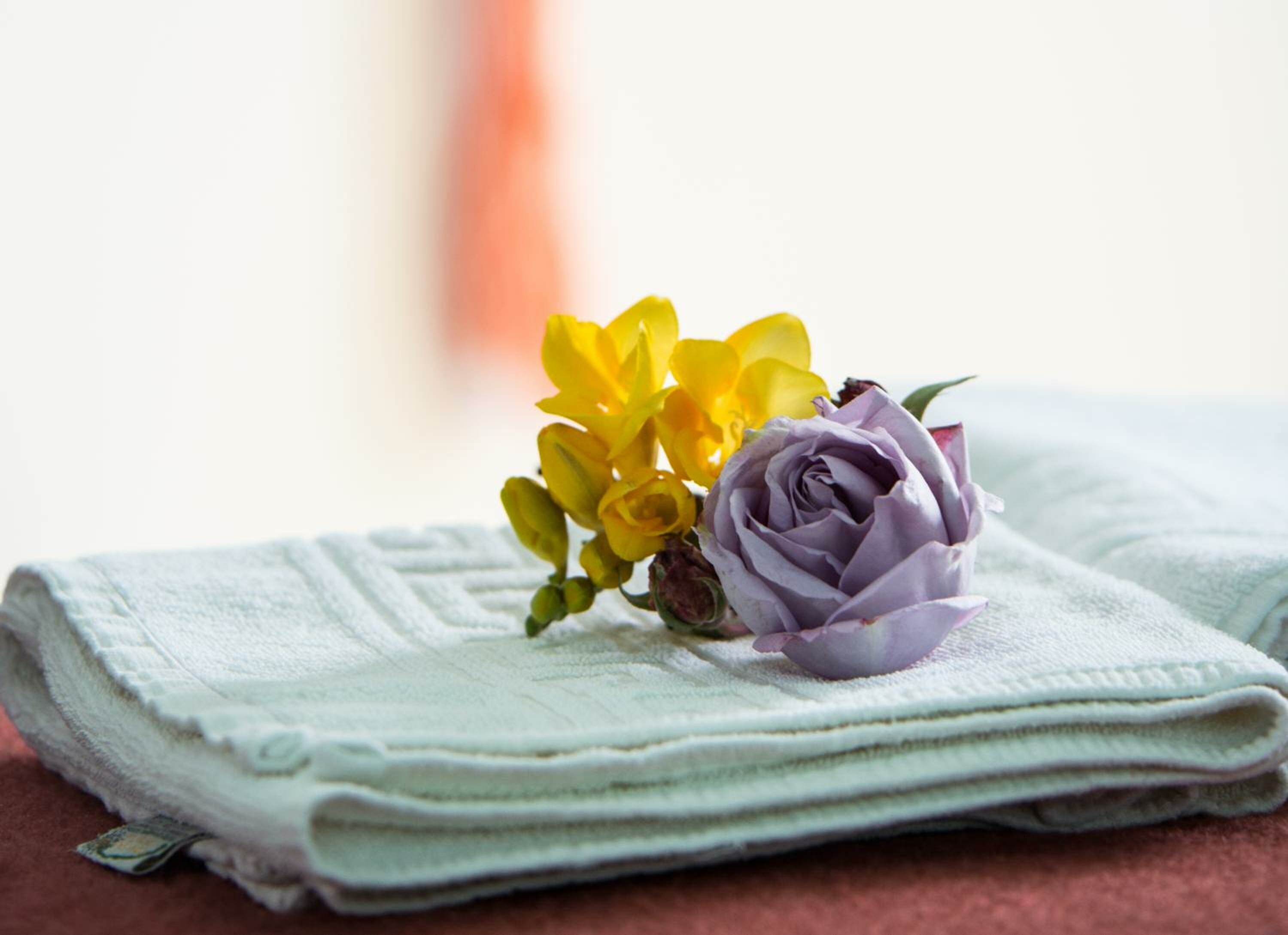 Фото Theoni Apartments