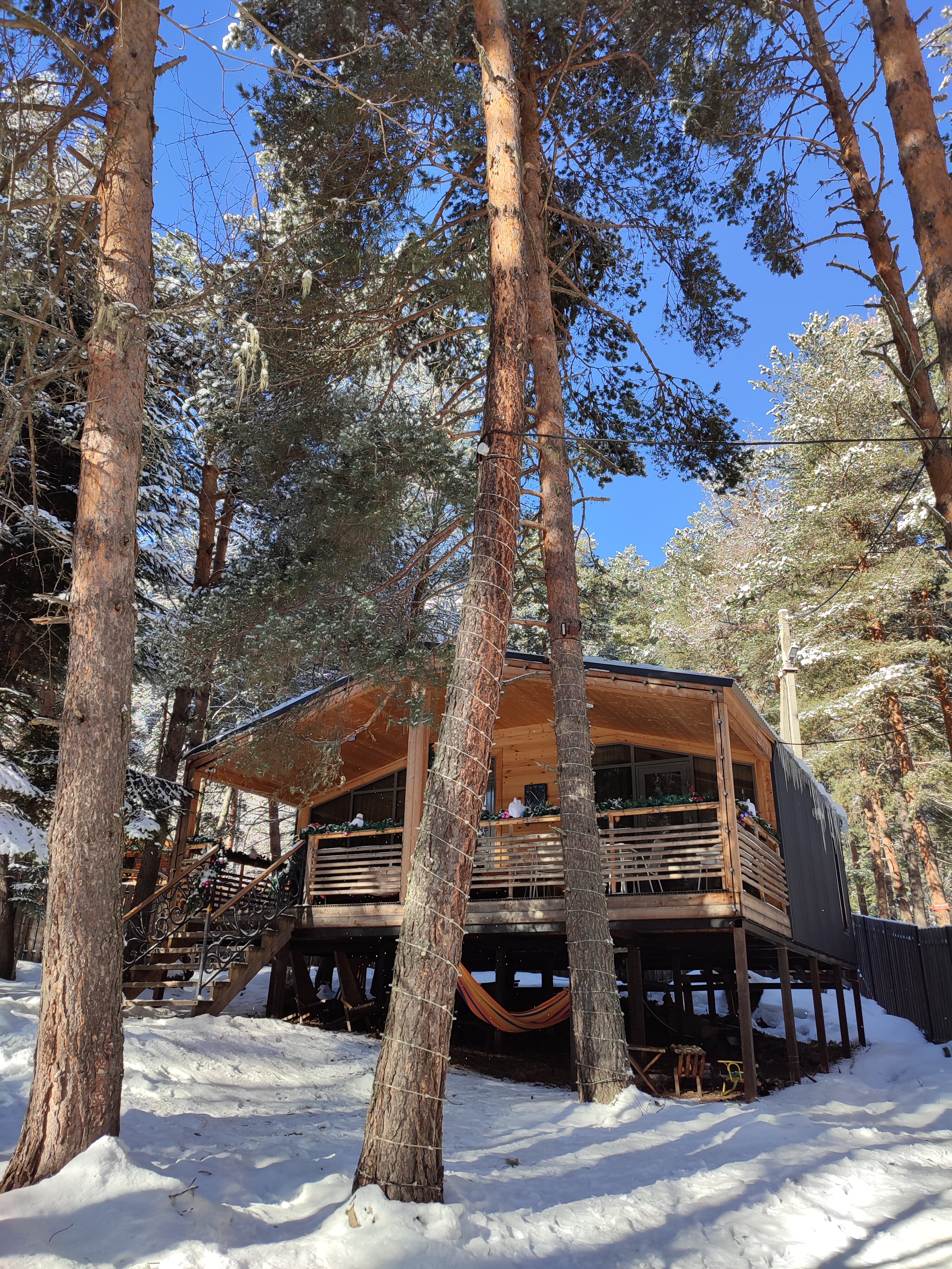 Фото Aspen House