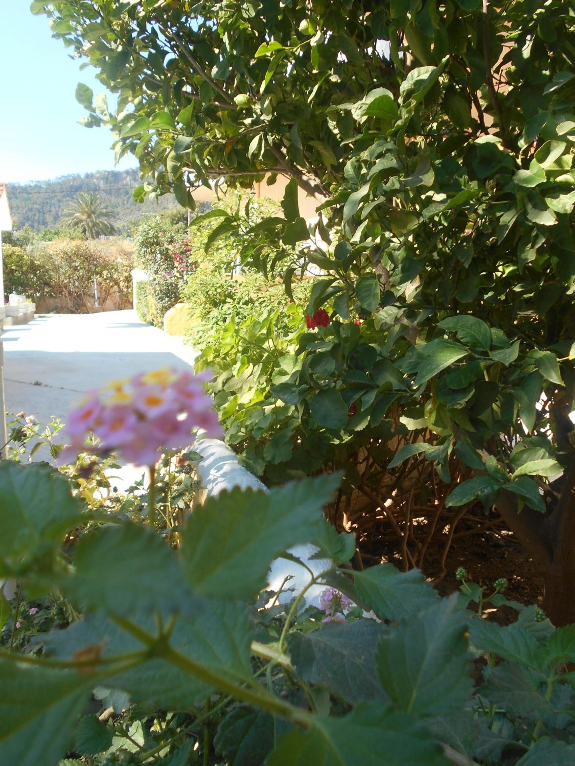 Фото Villa Sofia