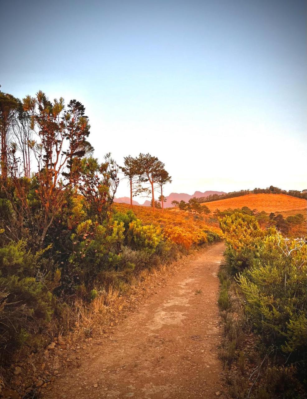 Фото Vrede Self Catering