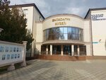 Balasagun (Tole Bi Avenue, 68), museum