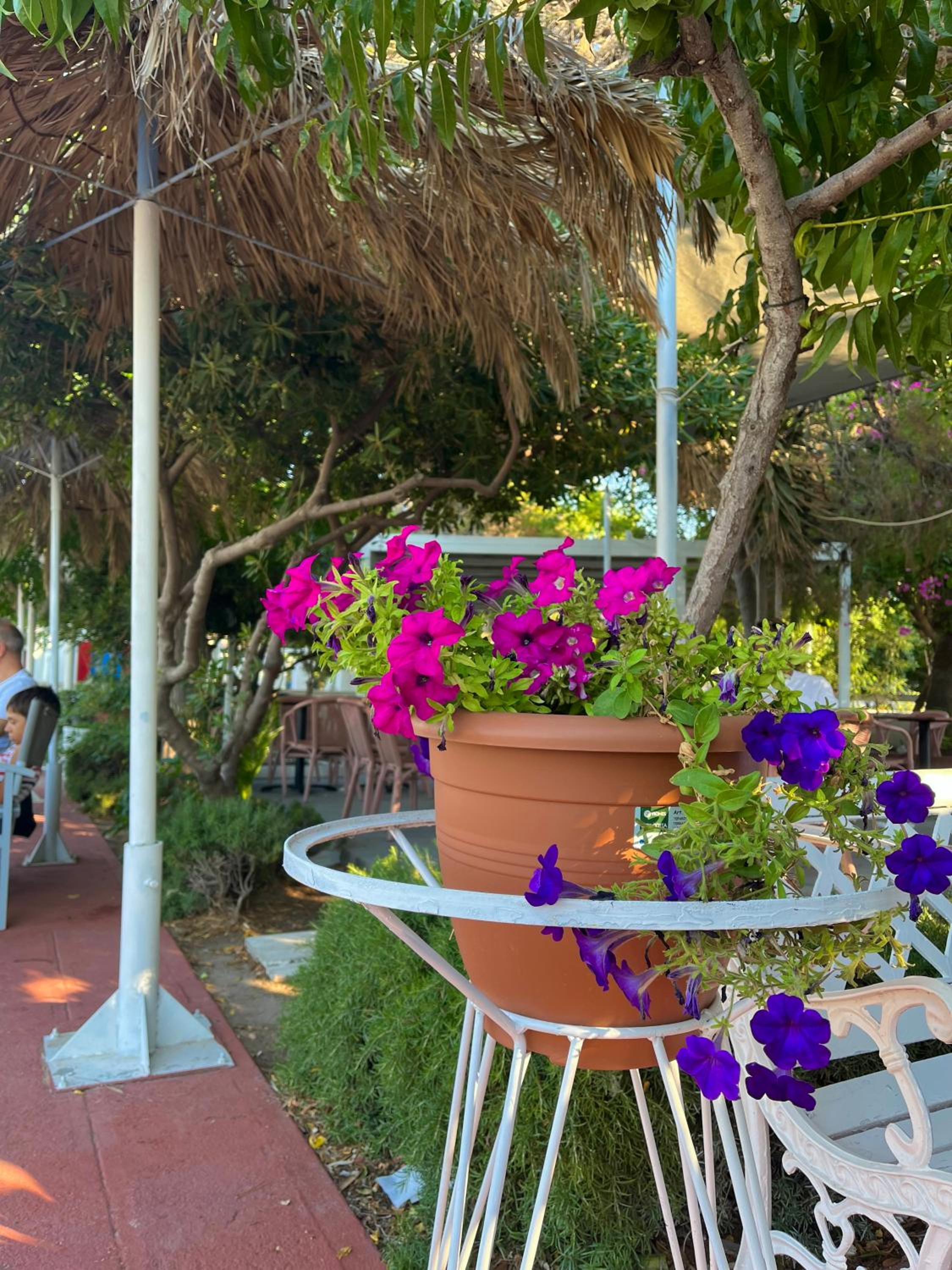 Фото Theodorou Beach