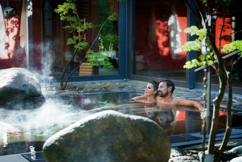 Гостиница Hotel Bora HotSpaResort