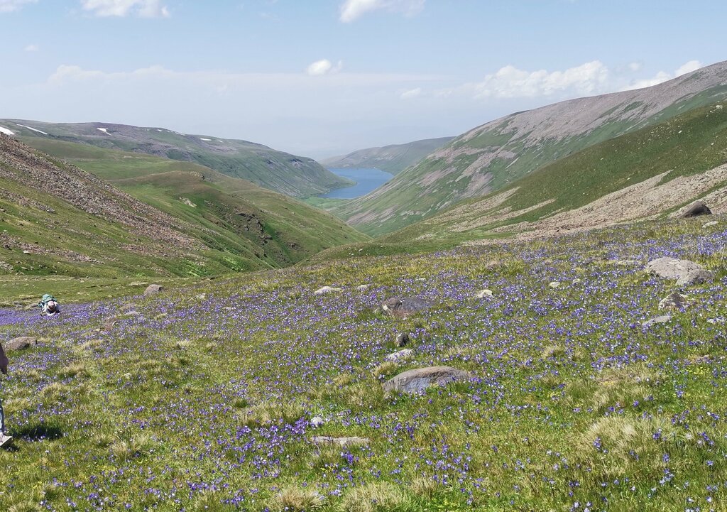 Waterfall Manthashi, Shirak, photo
