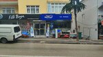 Marshall (Bursa, Yildirim, Cicek Avenue, 13A) ، لوازم الدهان والطلاء