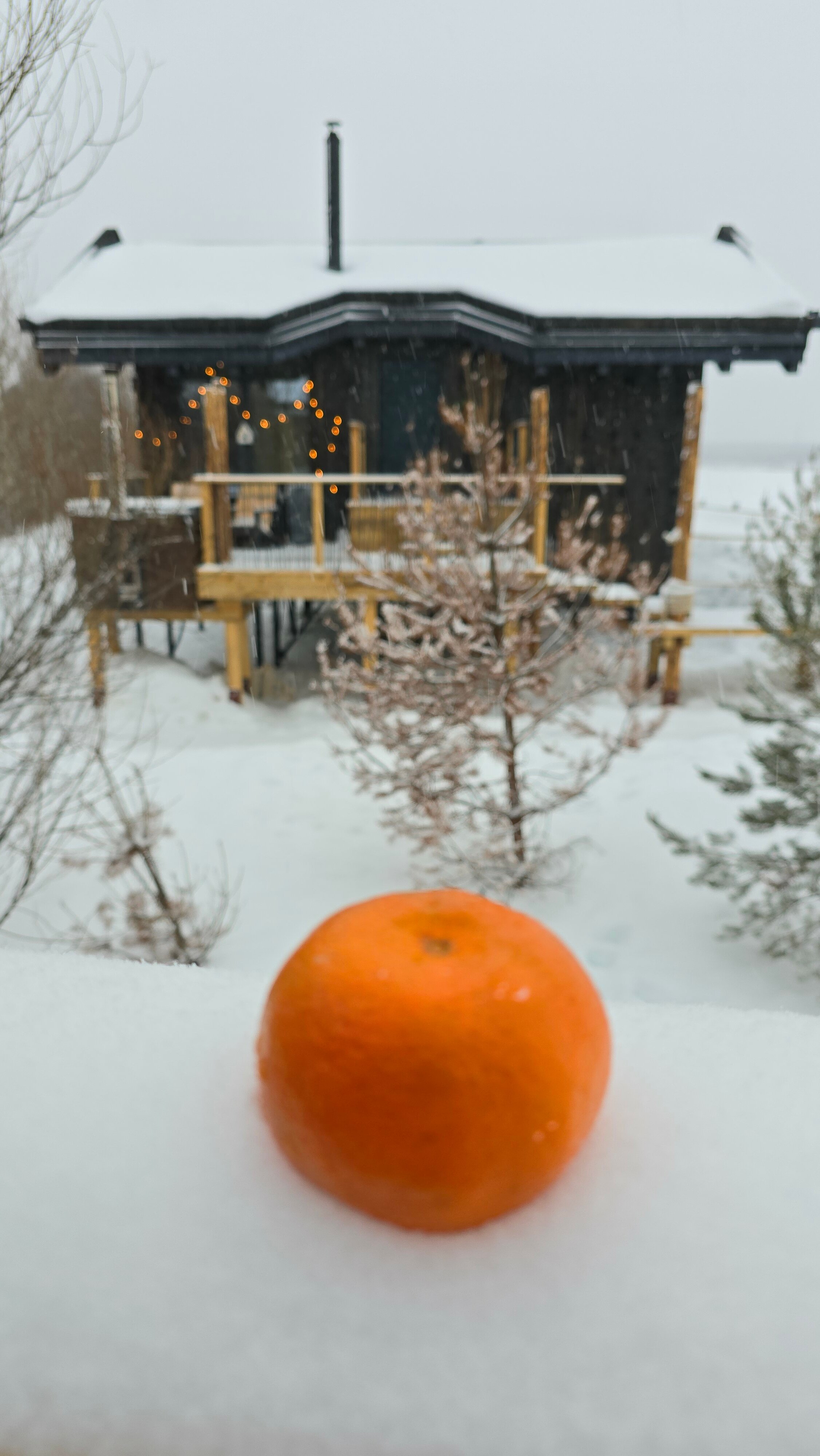 Фото ЕлятыЛодж